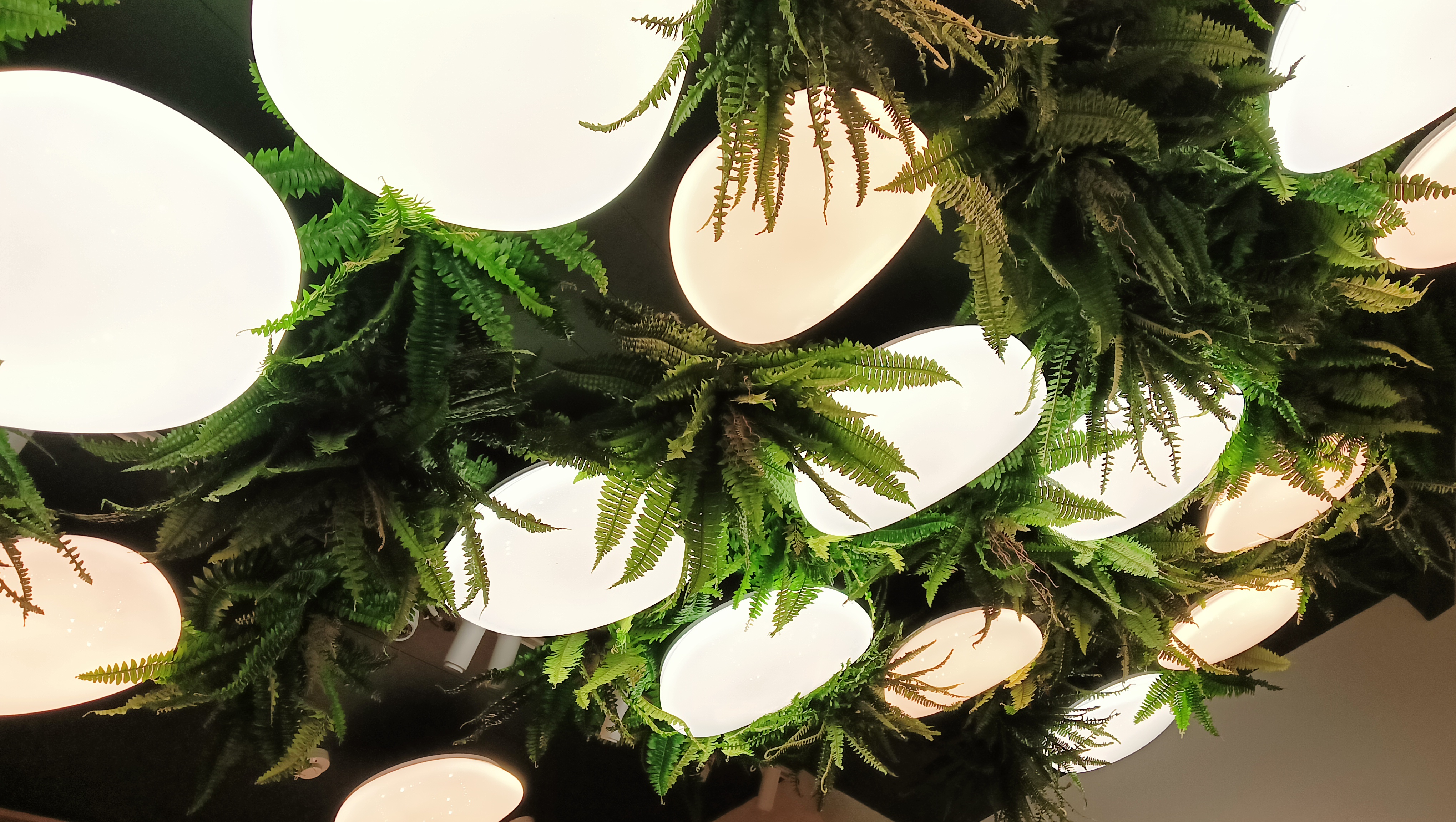 ресторан "Флоренция" г.Стерлитамак